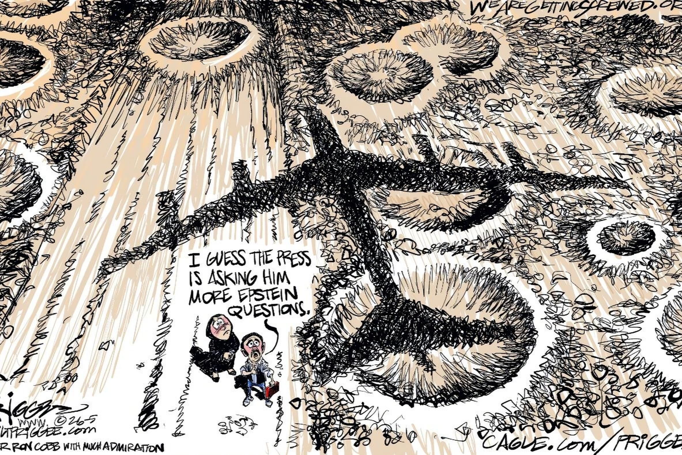 Epstein questions